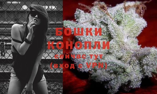 дмт Остров
