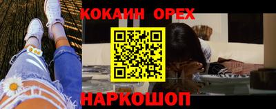 спиды Кингисепп