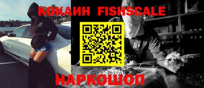 спиды Кингисепп