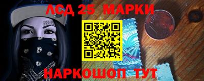спиды Кингисепп