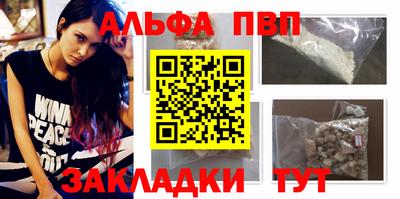 спиды Кингисепп