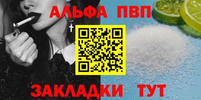 спиды Кингисепп