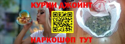 спиды Кингисепп