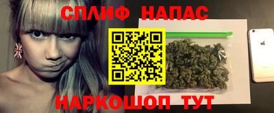 спиды Кингисепп