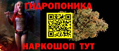 спиды Кингисепп