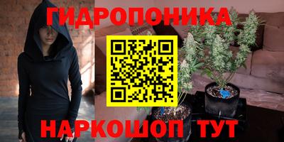 apvp Кинель