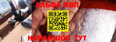 спиды Кингисепп