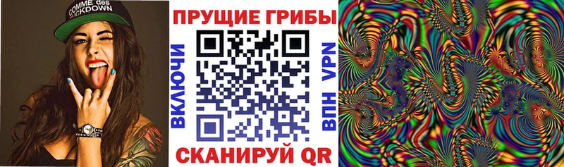 Псилоцибиновые грибы мухоморы где найти Мурманск