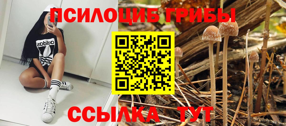 Псилоцибиновые грибы Magic Shrooms Мурманск